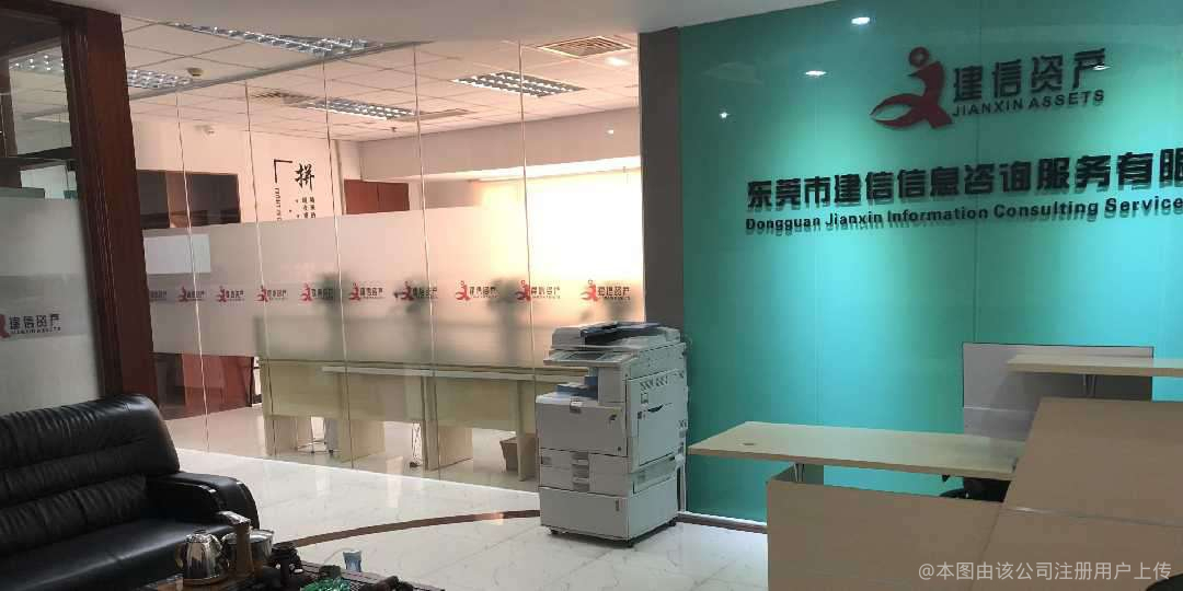 建信信息咨询